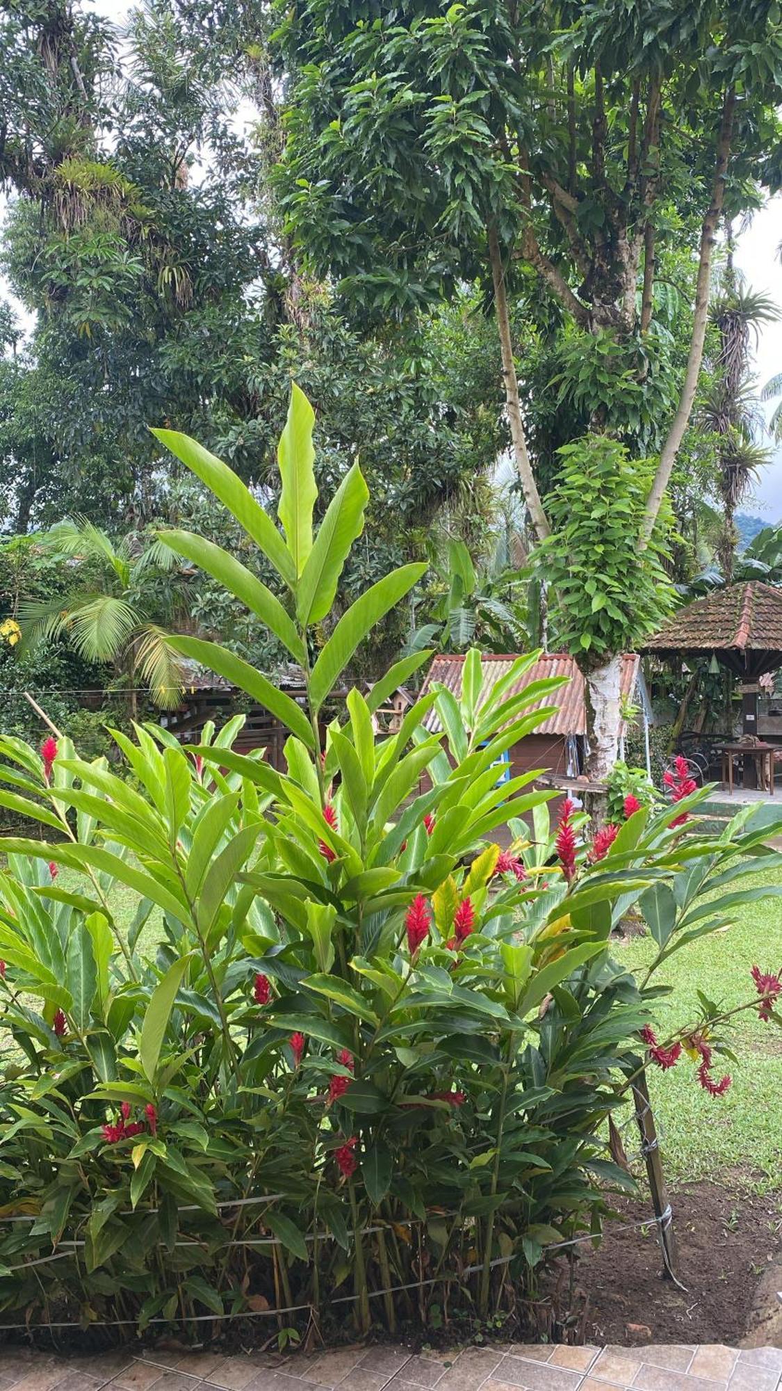 Pousada Siroba Beira Rio Appartement Morretes Buitenkant foto